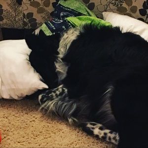 Meet your Posher, Heidi